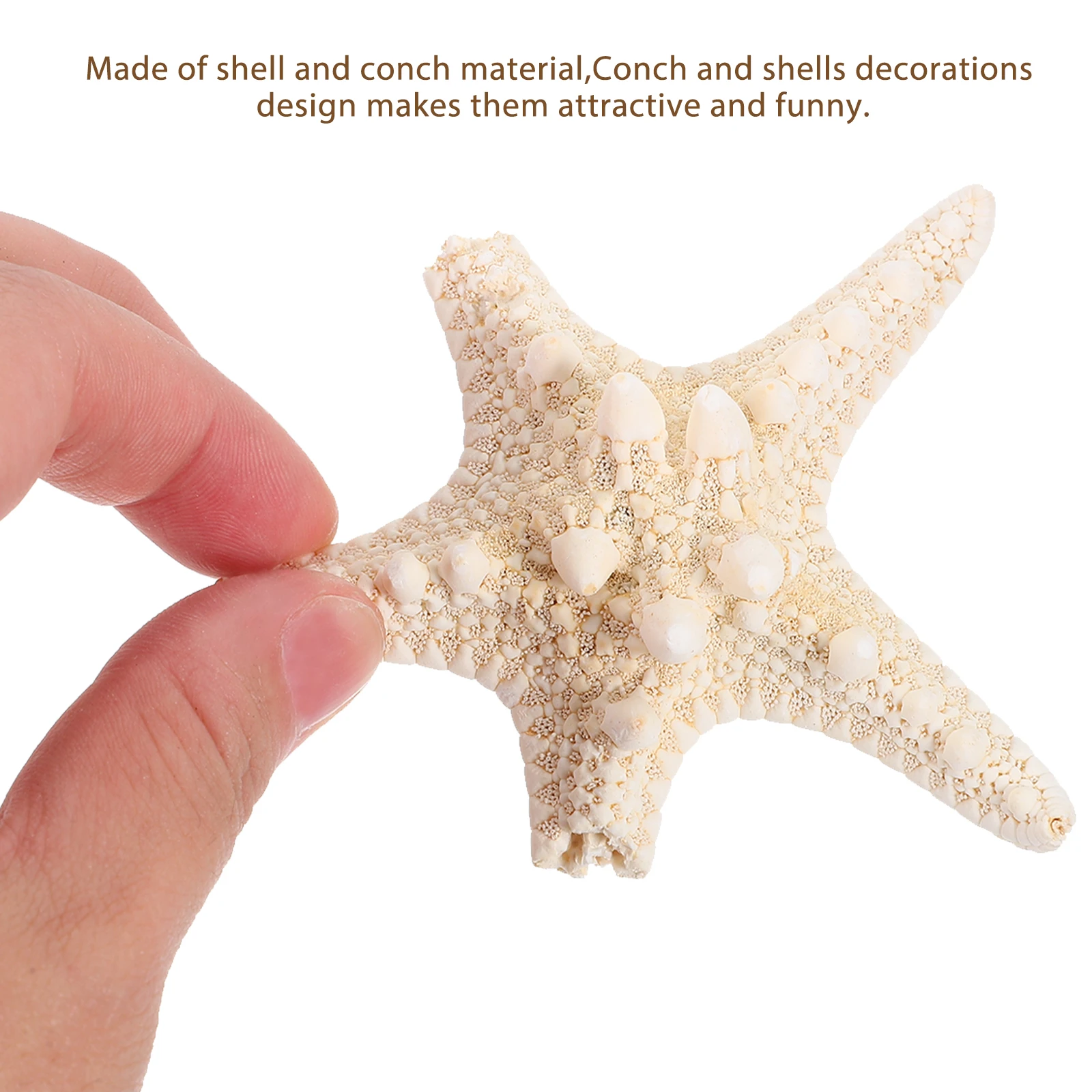 Natural Conch Shell Fish Tank Shells Landscaping Ornament Decorations Aquarium Water Quality Gift
Natural Conch Shell Fish Tank Shells Landscaping Ornament Decorations Aquarium Water Quality Gift