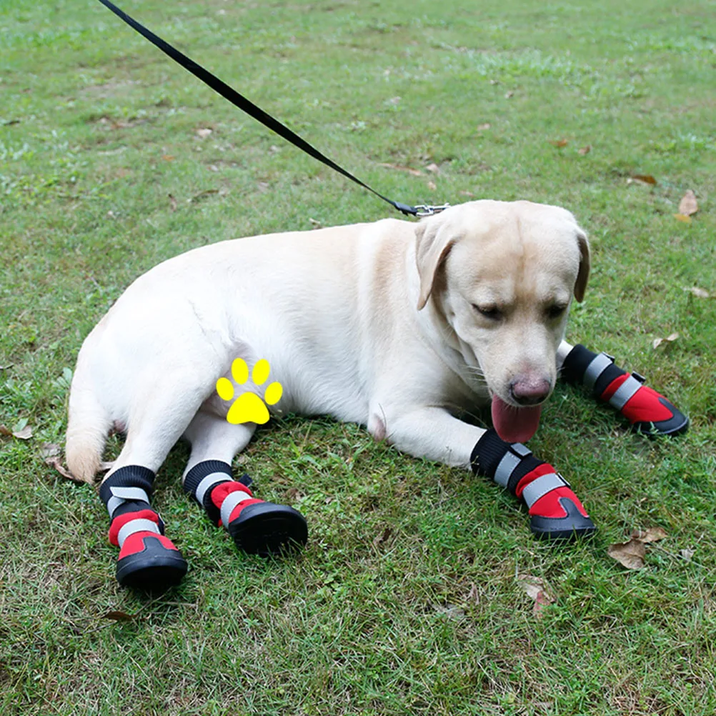 4 pcs DogShoes OutdoorNonSlip Dog Pet Paw Protectors Puppy Pet Anti Skid Shoes Snow Boots Shoes PetPawProtectors 
4 pcs DogShoes OutdoorNonSlip Dog Pet Paw Protectors Puppy Pet Anti Skid Shoes Snow Boots Shoes PetPawProtectors