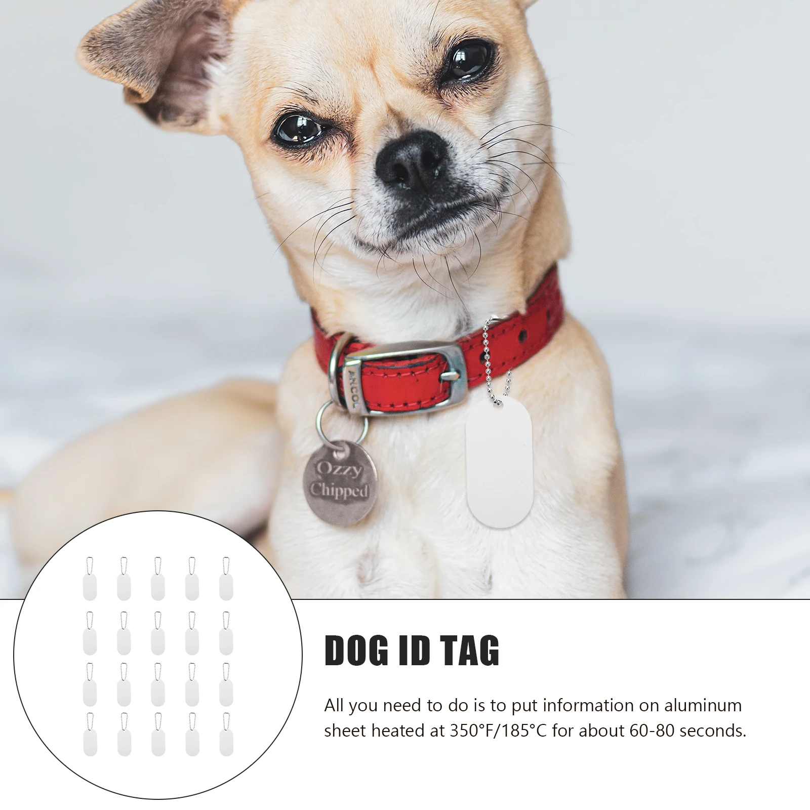 20 pcs Identity Tags Metal Hanging Boards Personalized Dog Charms Pet Collar Tags Anti-Lost Labels Aluminum Alloy Name Tag For
20 pcs Identity Tags Metal Hanging Boards Personalized Dog Charms Pet Collar Tags Anti-Lost Labels Aluminum Alloy Name Tag For
