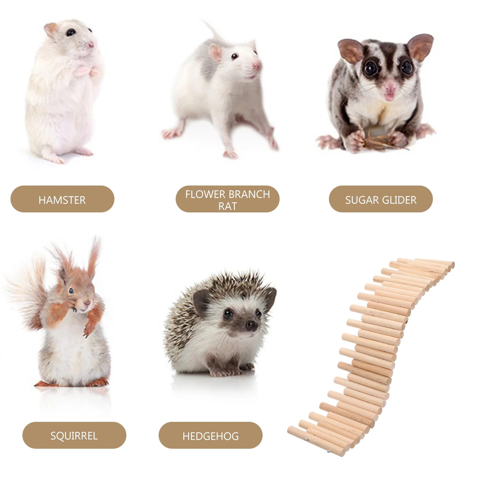 Puppy Toys Hamster Fence Activity Hanging Wooden Bridge Outdoor DIY Exercise Tunnel Feeder Travel
Puppy Toys Hamster Fence Activity Hanging Wooden Bridge Outdoor DIY Exercise Tunnel Feeder Travel
