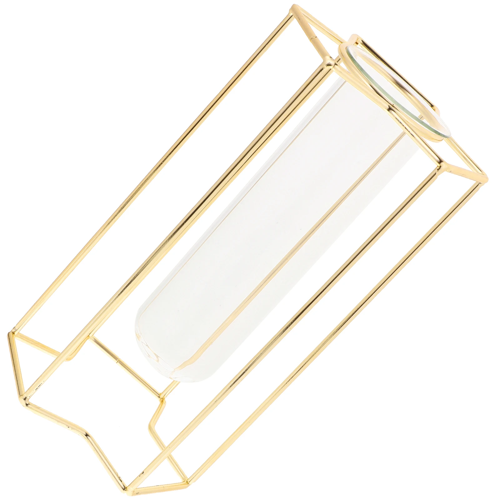 Home Rose Gold Smooth Surface Fine Workmanship Perfect Iron Transparent Glass Plant Flower Jug Vase Vase
Home Rose Gold Smooth Surface Fine Workmanship Perfect Iron Transparent Glass Plant Flower Jug Vase Vase