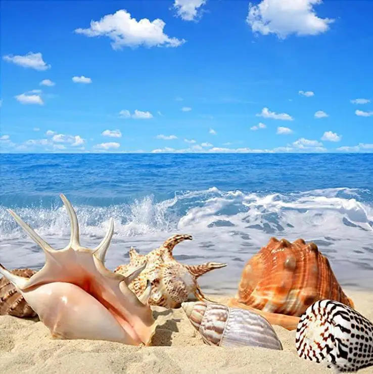 Beach Starfish & Seashell Diamond Painting Kit, Full Drill 5D Rhinestone Art, Home Wall Decor, Relaxing DIY Craft Gift
Beach Starfish & Seashell Diamond Painting Kit, Full Drill 5D Rhinestone Art, Home Wall Decor, Relaxing DIY Craft Gift