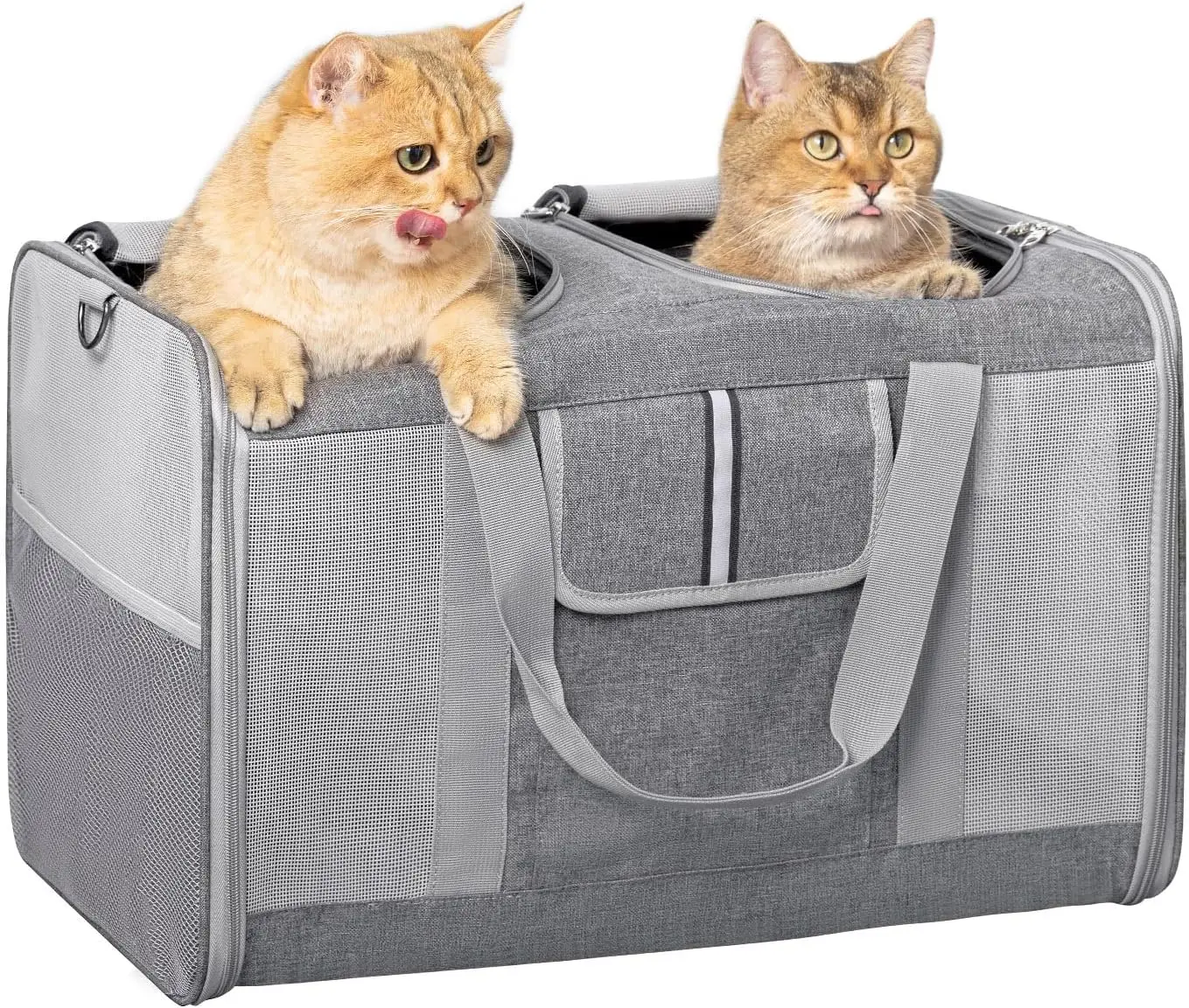 Cat Carrier for 2 Cats, Pet Carrier for Cat and Dog Up to 38lbs, All-Sided Mesh Cat Carrier with Great Ventilation
Cat Carrier for 2 Cats, Pet Carrier for Cat and Dog Up to 38lbs, All-Sided Mesh Cat Carrier with Great Ventilation