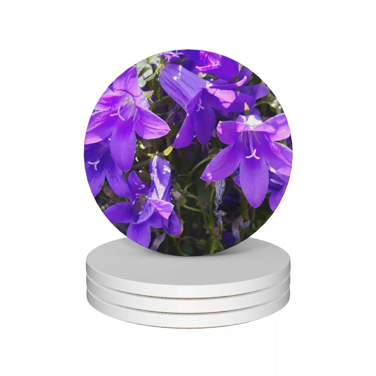 Purple Clustered Bellflower Spring Ceramic Coasters (Set of 4) for the kitchen accessories flower Coasters
Purple Clustered Bellflower Spring Ceramic Coasters (Set of 4) for the kitchen accessories flower Coasters