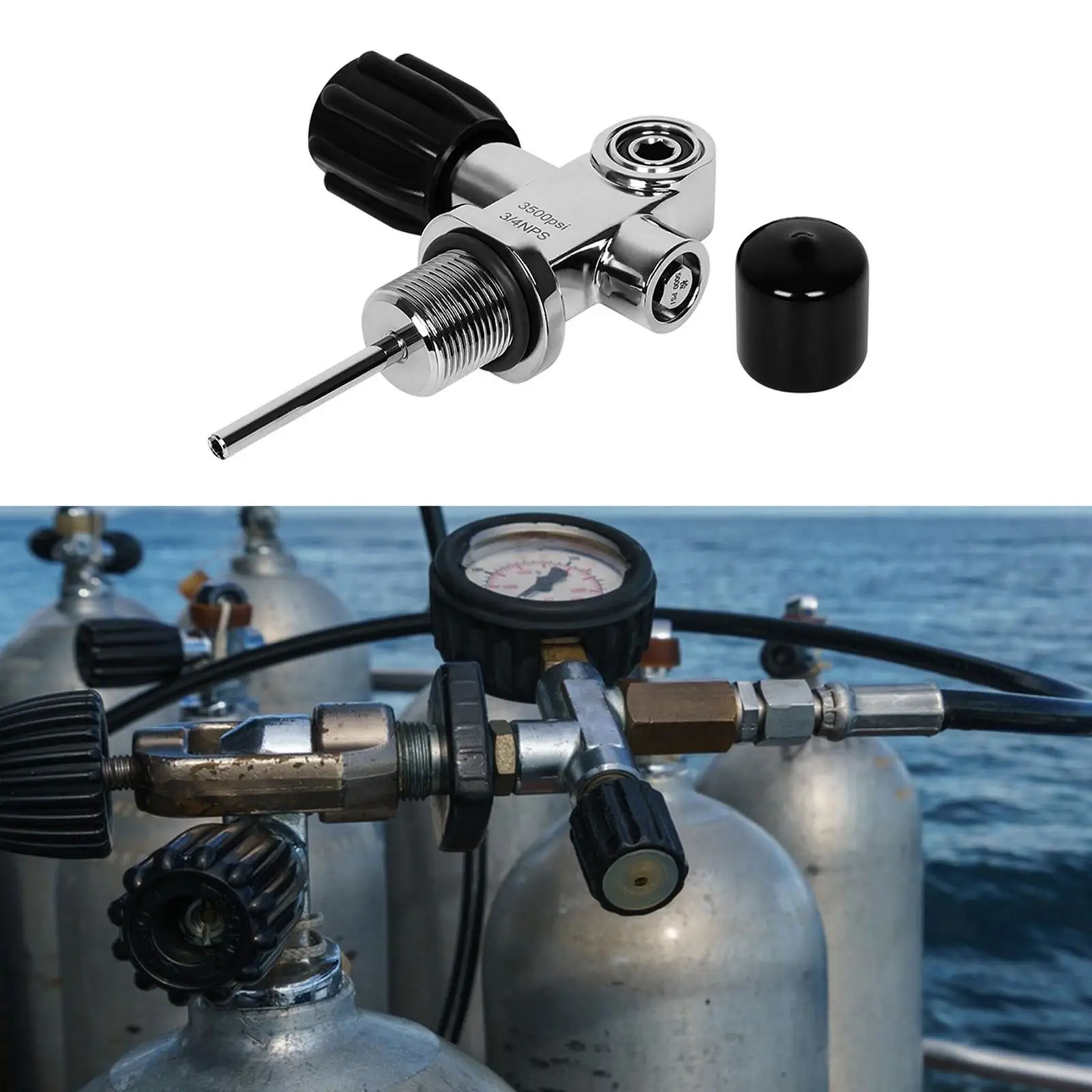 Outdoor Diving Cylinder Valve 3500PSI Stainless Steel Water Pressure Regulator for 0.5 Liter Scuba Tank Accessories
Outdoor Diving Cylinder Valve 3500PSI Stainless Steel Water Pressure Regulator for 0.5 Liter Scuba Tank Accessories