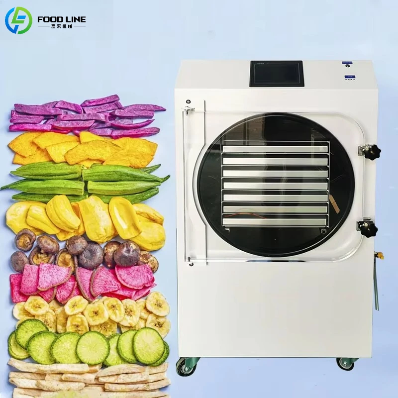 Household Food Freeze Dryer Machine with Vacuum Pump Fast Freeze Drying Fruit Meat Device Support Customized
Household Food Freeze Dryer Machine with Vacuum Pump Fast Freeze Drying Fruit Meat Device Support Customized