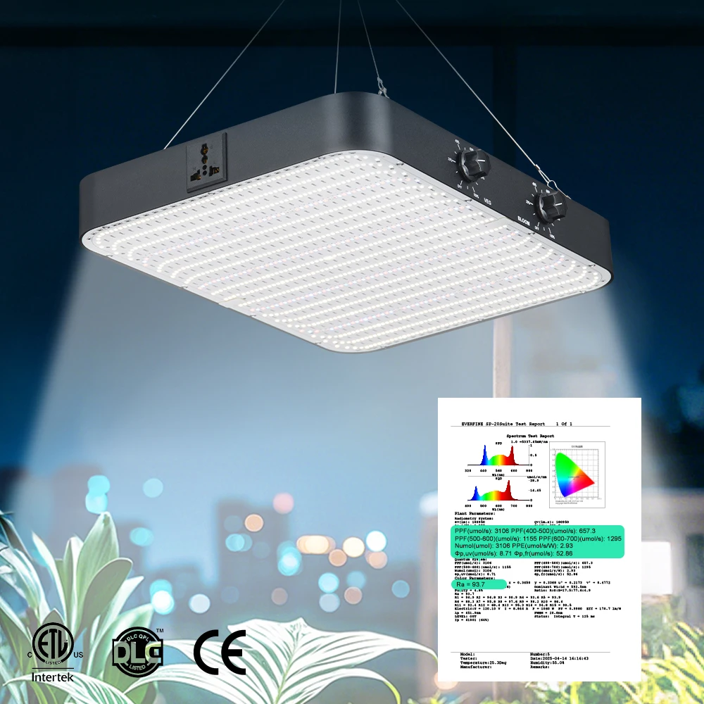 Специализированный производитель полного спектра белого светодиода для выращивания растений 3500-5000K IP65 алюминиевый корпус для выращивания растений и цветущих растений
Специализированный производитель полного спектра белого светодиода для выращивания растений 3500-5000K IP65 алюминиевый корпус для выращивания растений и цветущих растений