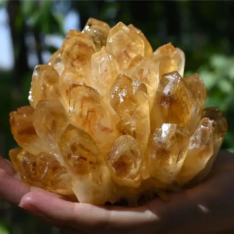 650g Natural Raw Citrine Quartz Stone Crystal Cluster Healing Yellow Stones Mineral Specimen Home Decoration 1pcs
650g Natural Raw Citrine Quartz Stone Crystal Cluster Healing Yellow Stones Mineral Specimen Home Decoration 1pcs