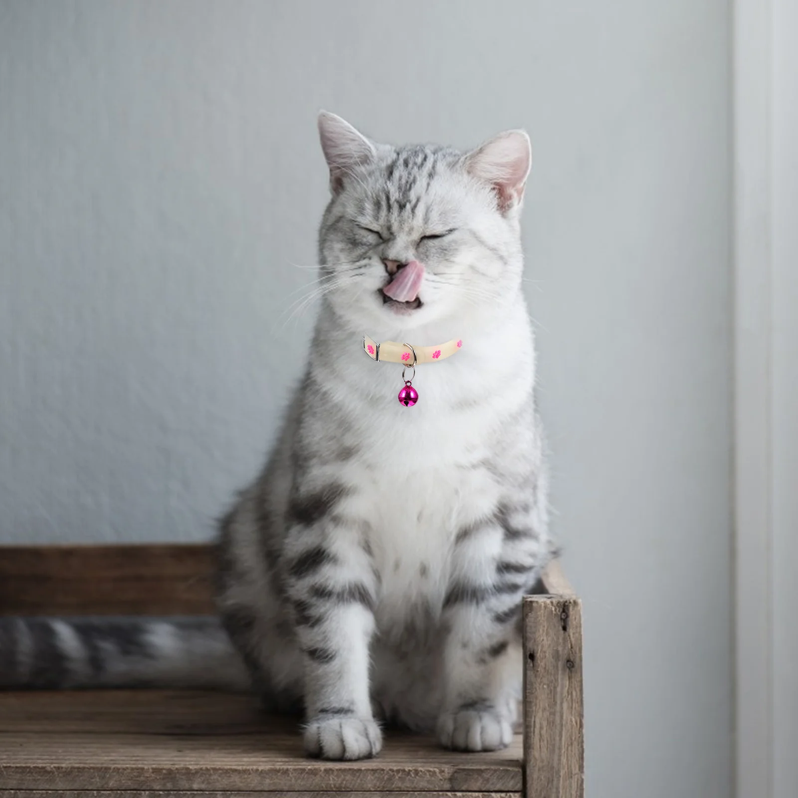 3pcs Fluorescent Pet Collar Adjustable Anti-Lost Cat Puppy Neck Strap For Small Dogs Night Use Party Wedding Photo Shoot Collar
3pcs Fluorescent Pet Collar Adjustable Anti-Lost Cat Puppy Neck Strap For Small Dogs Night Use Party Wedding Photo Shoot Collar