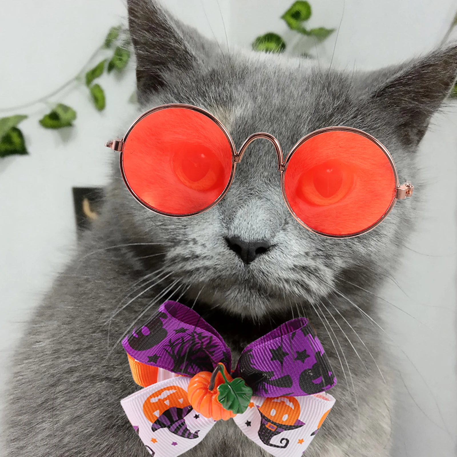 Halloween Pet Supplies Collar Cloak Suit Outfits for Cats The Cosplay Costume Accessories
Halloween Pet Supplies Collar Cloak Suit Outfits for Cats The Cosplay Costume Accessories