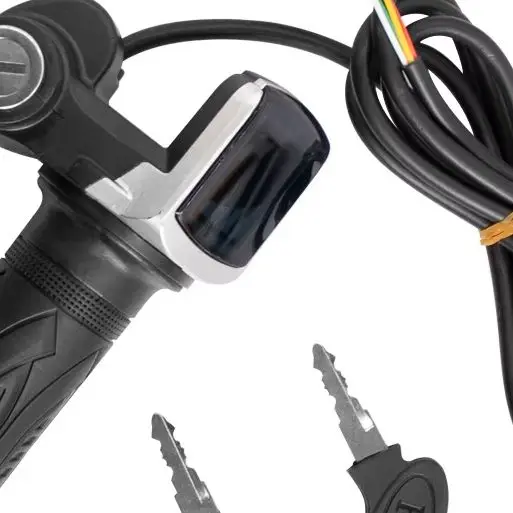 Electric Bicycle Throttle Grip 36V 48V 60V E-Bike Handlebar with Lock LED Display Power Indicator Key for Ebike Scooter
Electric Bicycle Throttle Grip 36V 48V 60V E-Bike Handlebar with Lock LED Display Power Indicator Key for Ebike Scooter