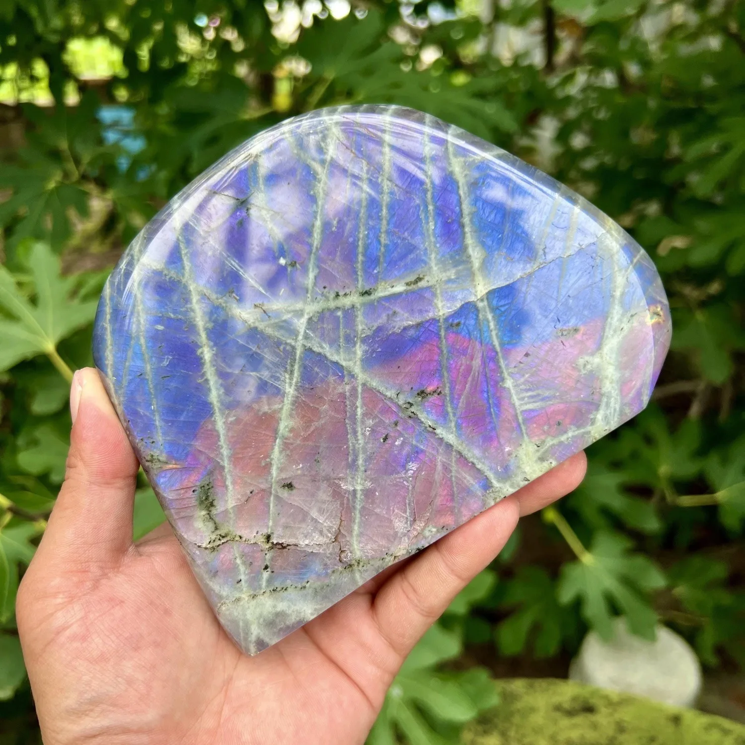 Natural Purple Flash Labradorite Free Form Display Ornament Polished Crystal Healing Stone Mineral Specimen Home Decoration Gift
Natural Purple Flash Labradorite Free Form Display Ornament Polished Crystal Healing Stone Mineral Specimen Home Decoration Gift