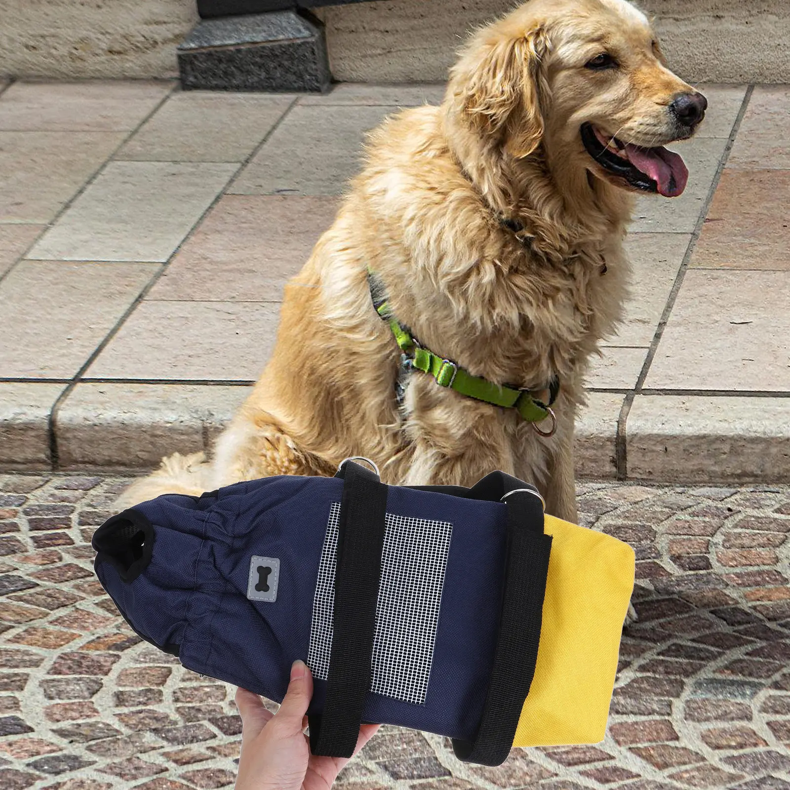 Dog Wheelchair for Back Legs Adjustable Small Large Dogs Pet Scooter Outdoor Mobility Aid Doggy Wheelchair Drag Bag Cart
Dog Wheelchair for Back Legs Adjustable Small Large Dogs Pet Scooter Outdoor Mobility Aid Doggy Wheelchair Drag Bag Cart