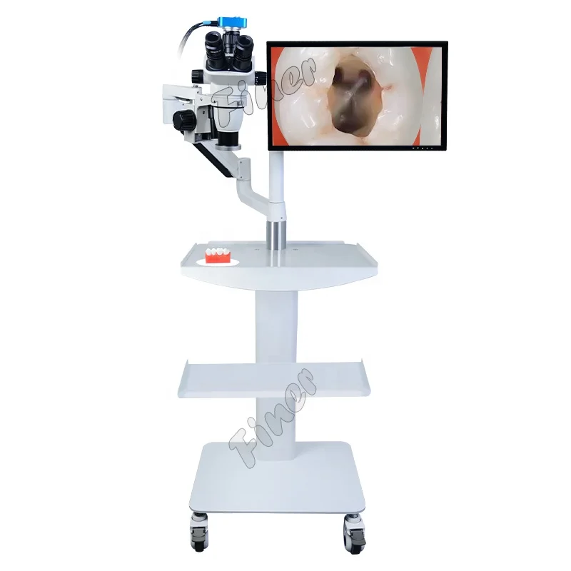 HD digital microscope portable cart design microscope with digital camer
HD digital microscope portable cart design microscope with digital camer
