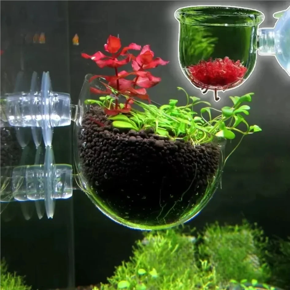 Fish Feeder Waterweed Nursery Pot Glass Aquarium Decor Pot Polka Water Potted Aquatic Planting Cylinder Cup Aquarium Accessories
Fish Feeder Waterweed Nursery Pot Glass Aquarium Decor Pot Polka Water Potted Aquatic Planting Cylinder Cup Aquarium Accessories
