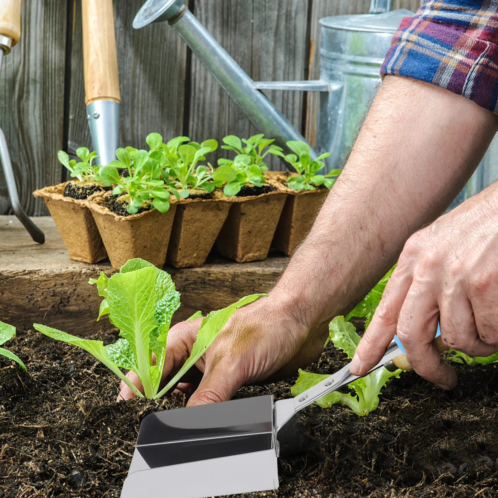 Reusable Stainless Steel Bonsai Soil Shovel Gardening Tool Portable Small Gardening Soil Shovel for Planting Potted Succulent
Reusable Stainless Steel Bonsai Soil Shovel Gardening Tool Portable Small Gardening Soil Shovel for Planting Potted Succulent
