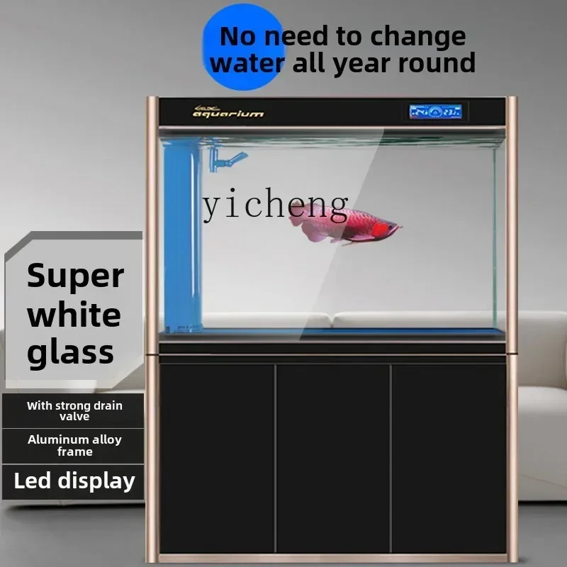 fish tank bottom filter aquarium ultra-white glass living room household ecological water-free medium and large Jinlong
fish tank bottom filter aquarium ultra-white glass living room household ecological water-free medium and large Jinlong