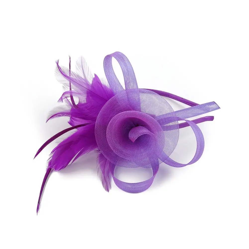 Formal Dress Feathers Mesh Headband Retro Exquisite Fascinator Headdress Luxury Stage Performance Headpiece Wedding Handband
Formal Dress Feathers Mesh Headband Retro Exquisite Fascinator Headdress Luxury Stage Performance Headpiece Wedding Handband