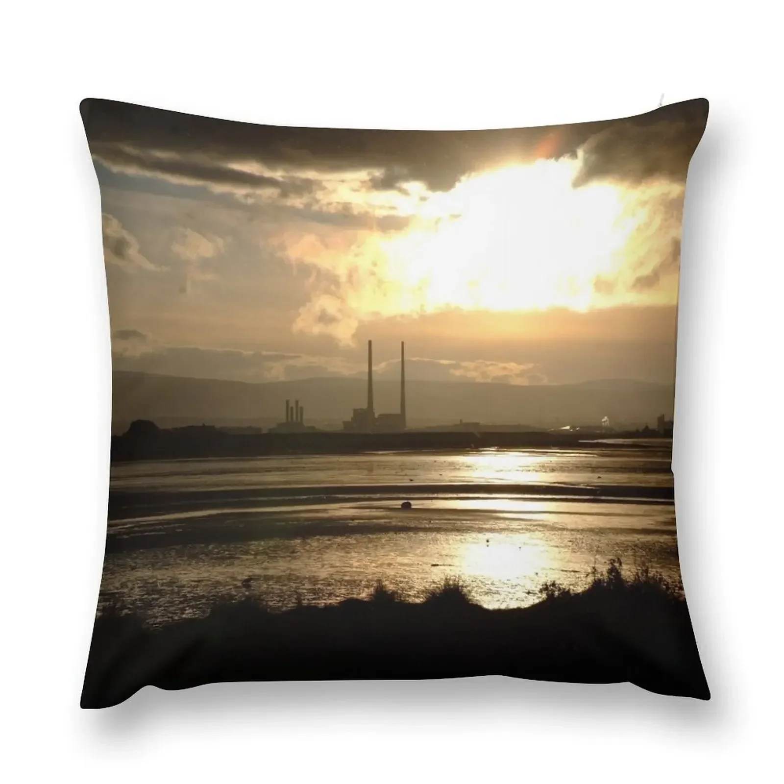 Dublin Bay Throw Pillow Elastic Cover For Sofa Pillow Covers Decorative pillow
Dublin Bay Throw Pillow Elastic Cover For Sofa Pillow Covers Decorative pillow
