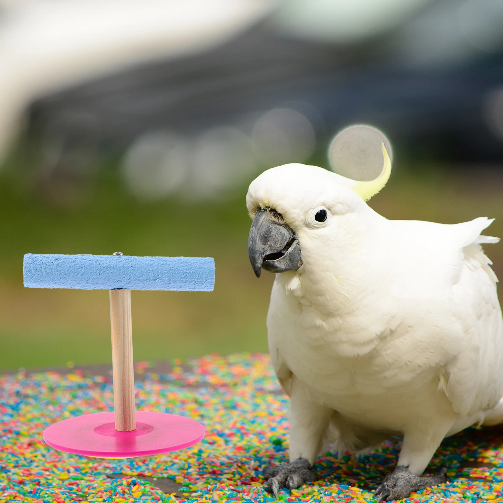 1pcs Bird Training Stand T Shaped Parrot Bridge Rack Climbing Exercise Play Food Bowl Holder -Friendly Safe Pet For
1pcs Bird Training Stand T Shaped Parrot Bridge Rack Climbing Exercise Play Food Bowl Holder -Friendly Safe Pet For