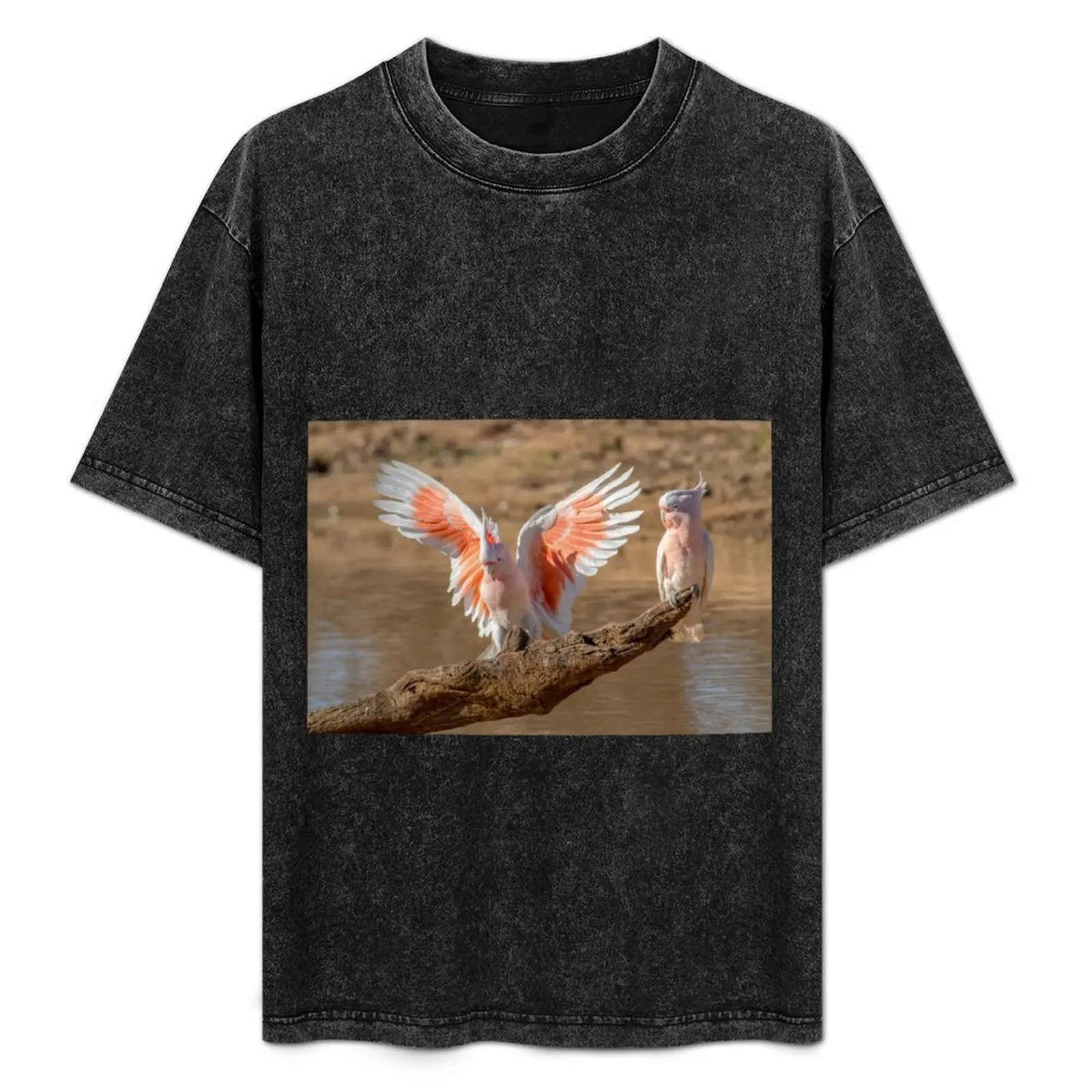 Major Mitchell cockatoos T-Shirt Casual Daily Outfit T-Shirt
Major Mitchell cockatoos T-Shirt Casual Daily Outfit T-Shirt