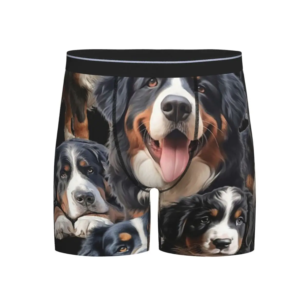 Длинные трусы-боксеры, шорты для бернского зенненхунда, мужские трусы, удобное нижнее белье для мужчин, подарок бойфренду
Длинные трусы-боксеры, шорты для бернского зенненхунда, мужские трусы, удобное нижнее белье для мужчин, подарок бойфренду