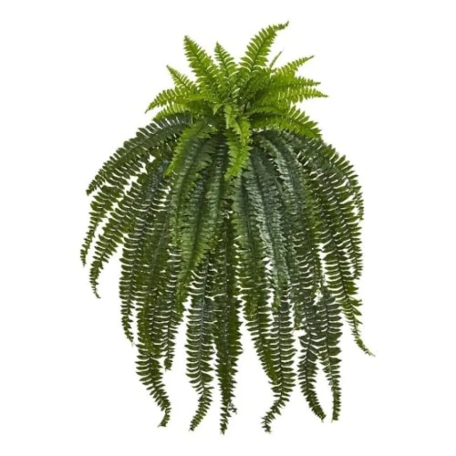 46 Artificial Boston Fern Large Hanging Fake Plant Wall Decor with 52 Long Hanging Fronds Faux Fern Vines that Look Real for Ho
46 Artificial Boston Fern Large Hanging Fake Plant Wall Decor with 52 Long Hanging Fronds Faux Fern Vines that Look Real for Ho