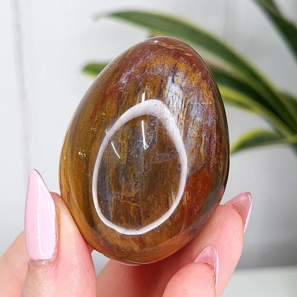 Natural Petrified Wood Egg Stones Perfect for Home Decor or A Thoughtful Holiday Gift for Meditation Reiki Chakra Balancing
Natural Petrified Wood Egg Stones Perfect for Home Decor or A Thoughtful Holiday Gift for Meditation Reiki Chakra Balancing