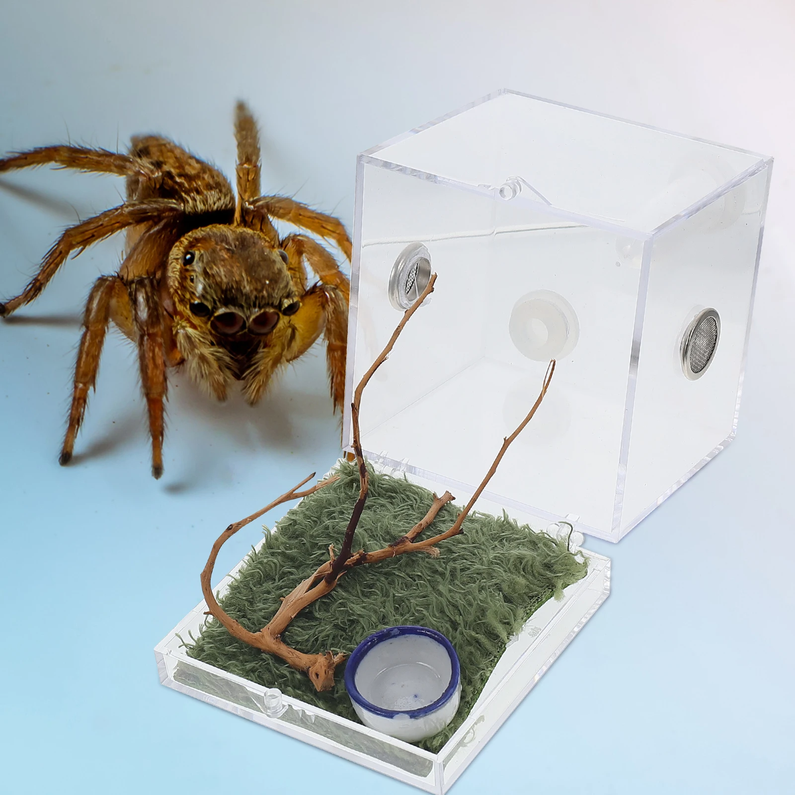Jumping Spider Breeding Cage Enclosure Container Small Size Lightweight Insect Snail Beetle Reptile Pet Accessories
Jumping Spider Breeding Cage Enclosure Container Small Size Lightweight Insect Snail Beetle Reptile Pet Accessories