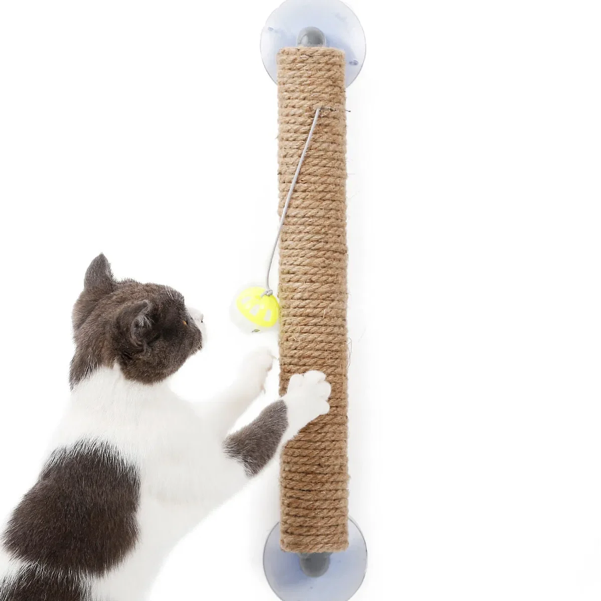 Сизалевая веревка Pet Life «Stick N' Claw» и игрушечная присоска в форме палочки для кошек
Сизалевая веревка Pet Life «Stick N' Claw» и игрушечная присоска в форме палочки для кошек