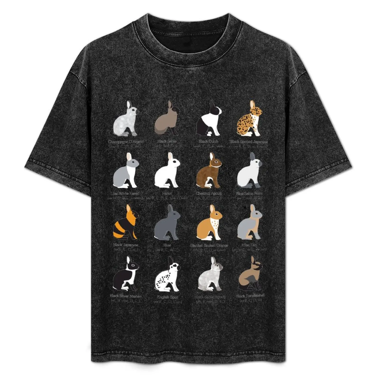 rabbits colour genetics T-Shirt Breathable Workout Short Sleeve Top
rabbits colour genetics T-Shirt Breathable Workout Short Sleeve Top