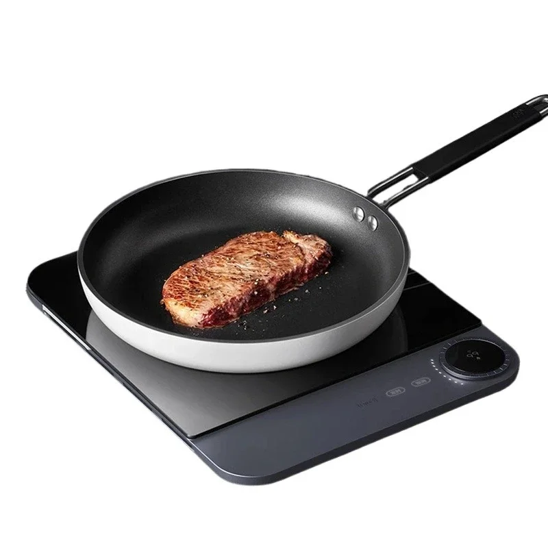 Induction cooker hot pot
Induction cooker hot pot