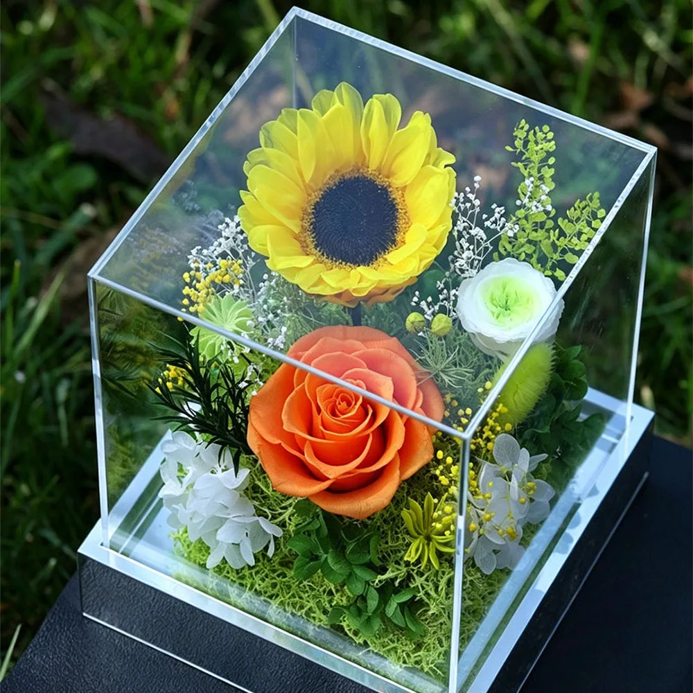 Preserved Rose Flower Arrangement in Acrylic Box, Forever Rose Gift for Valentine's Day Birthday Wedding Home Decor Ornament
Preserved Rose Flower Arrangement in Acrylic Box, Forever Rose Gift for Valentine's Day Birthday Wedding Home Decor Ornament