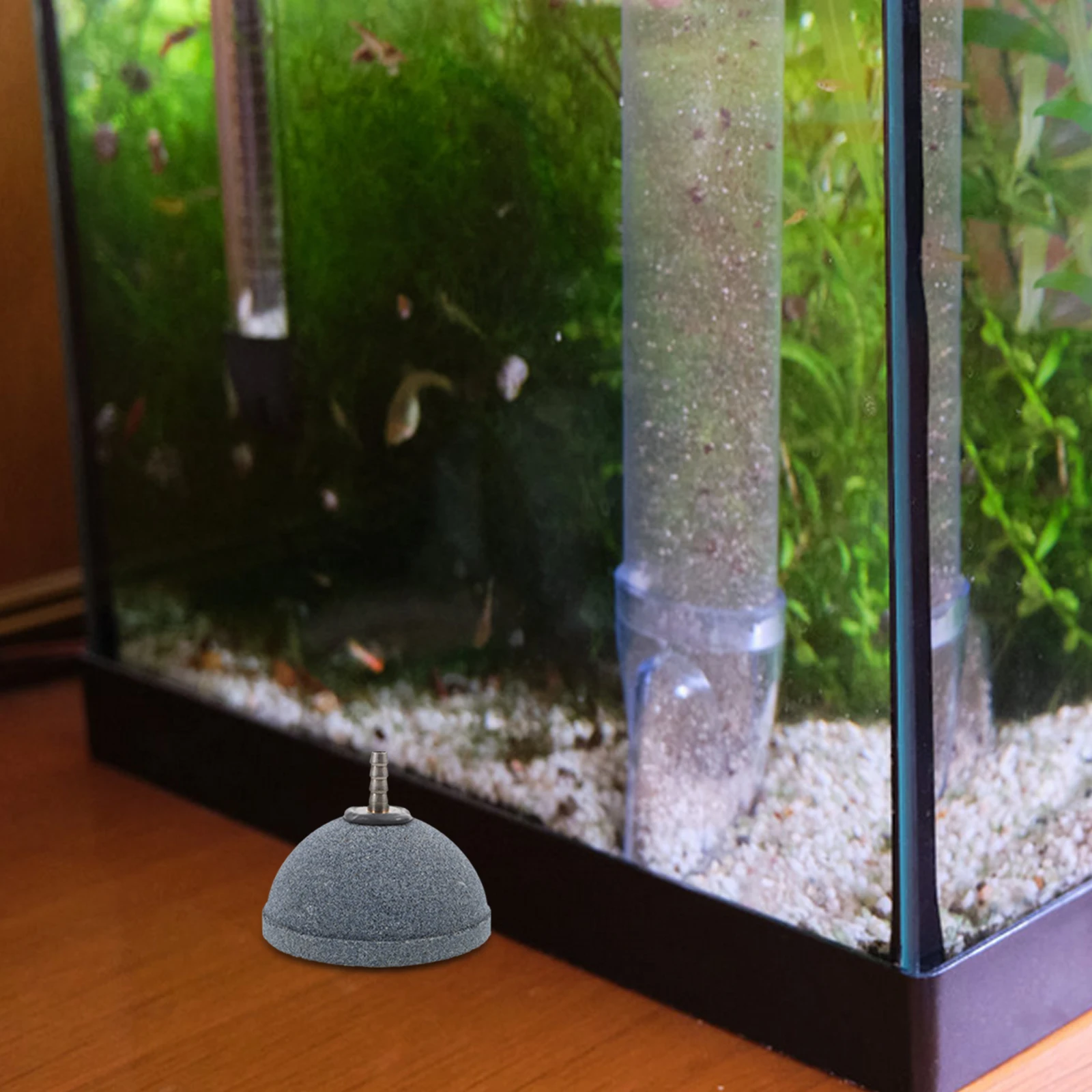 Aquarium Air Diffuser Stone Half Ball Bubble Fish Tank Pond Bucket Oxygen Stone High Temp Resistance Quiet Durable Even Air
Aquarium Air Diffuser Stone Half Ball Bubble Fish Tank Pond Bucket Oxygen Stone High Temp Resistance Quiet Durable Even Air