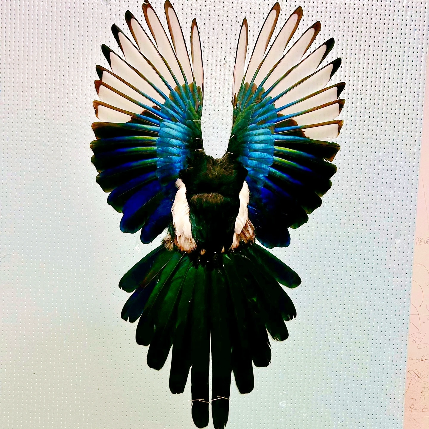 2211 Handmade, Bird Feather Specimen Decorative Paintings, Creative Gifts, Home Decoration Artworks, Room Ornaments
2211 Handmade, Bird Feather Specimen Decorative Paintings, Creative Gifts, Home Decoration Artworks, Room Ornaments