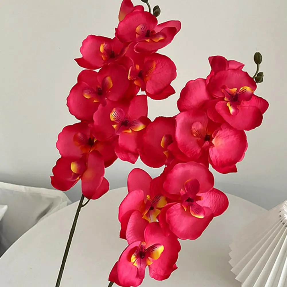 Faux Flower with Stem Fake Flower Branch Elegant Artificial Moth Orchids for Wedding Party Home Office Table Centerpiece
Faux Flower with Stem Fake Flower Branch Elegant Artificial Moth Orchids for Wedding Party Home Office Table Centerpiece