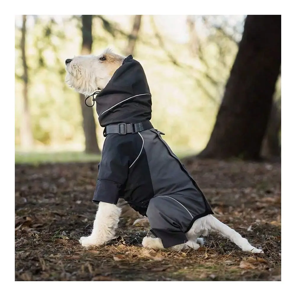 Quality Pet Raincoat, Reflective Adjustable Collar With Leash Hole, Suitable Medium Small Dogs, Waterproof Outdoor Walking Spor
Quality Pet Raincoat, Reflective Adjustable Collar With Leash Hole, Suitable Medium Small Dogs, Waterproof Outdoor Walking Spor