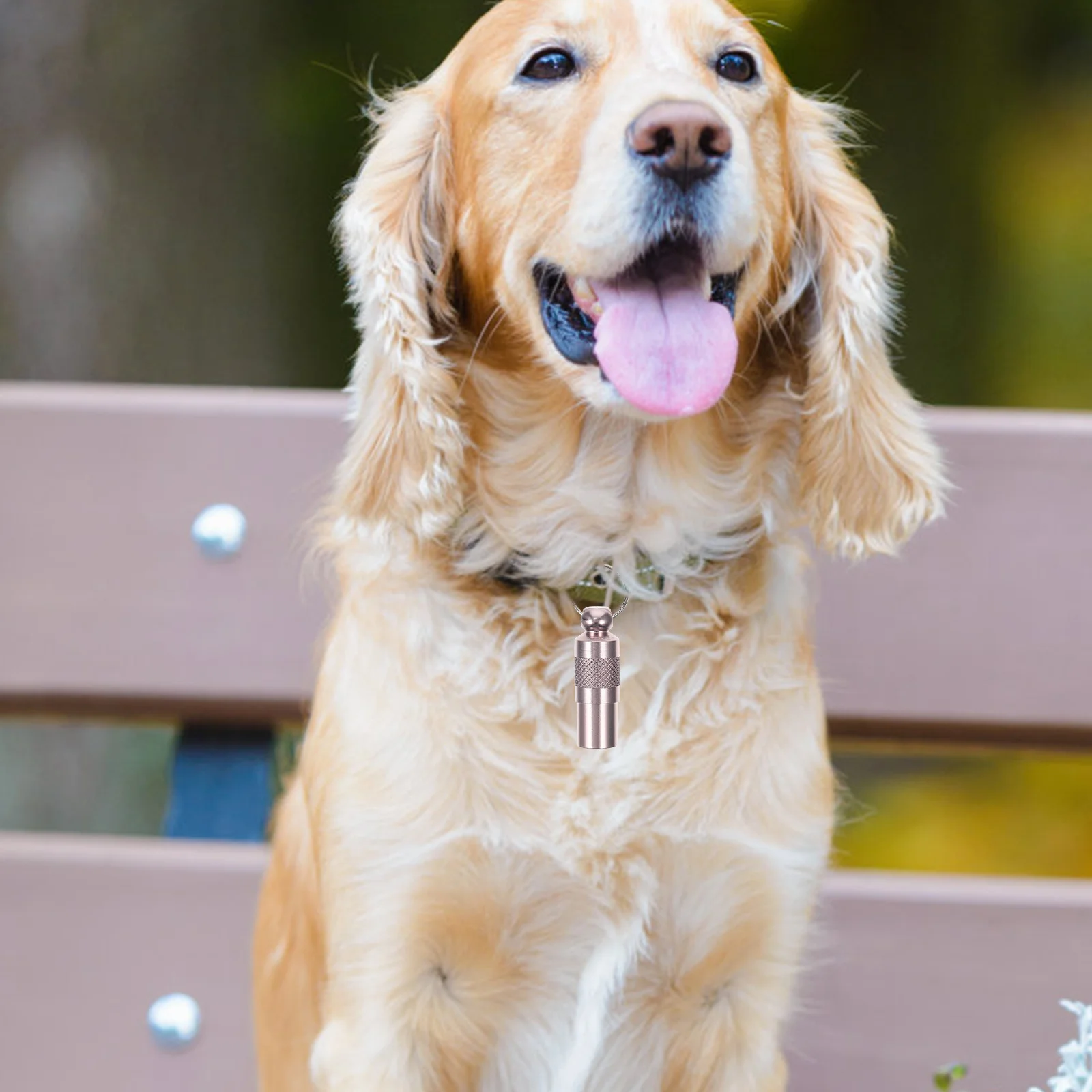 6Pcs Pet Collar Address Tags Anti Lost Dog Cat Id Name Tag Lightweight Portable Dog Name Tag Cat Tags Personalized Small
6Pcs Pet Collar Address Tags Anti Lost Dog Cat Id Name Tag Lightweight Portable Dog Name Tag Cat Tags Personalized Small