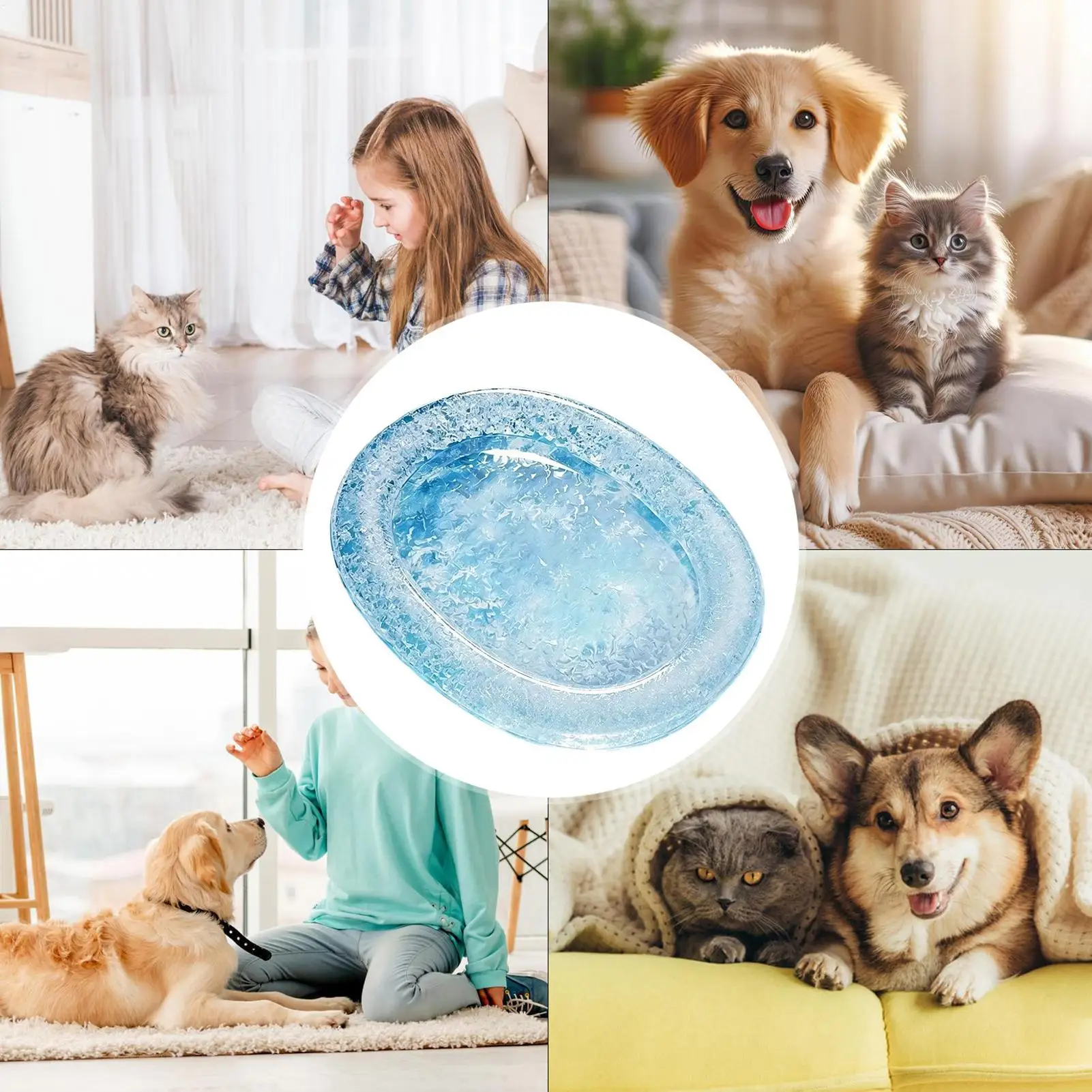 Cooling Pad For Dogs Foldable Puppy Cat Ice Bed Summer Cat Cooling Mat For Doggy Hot Weather Indoor Outdoor Travel Crate Patio
Cooling Pad For Dogs Foldable Puppy Cat Ice Bed Summer Cat Cooling Mat For Doggy Hot Weather Indoor Outdoor Travel Crate Patio