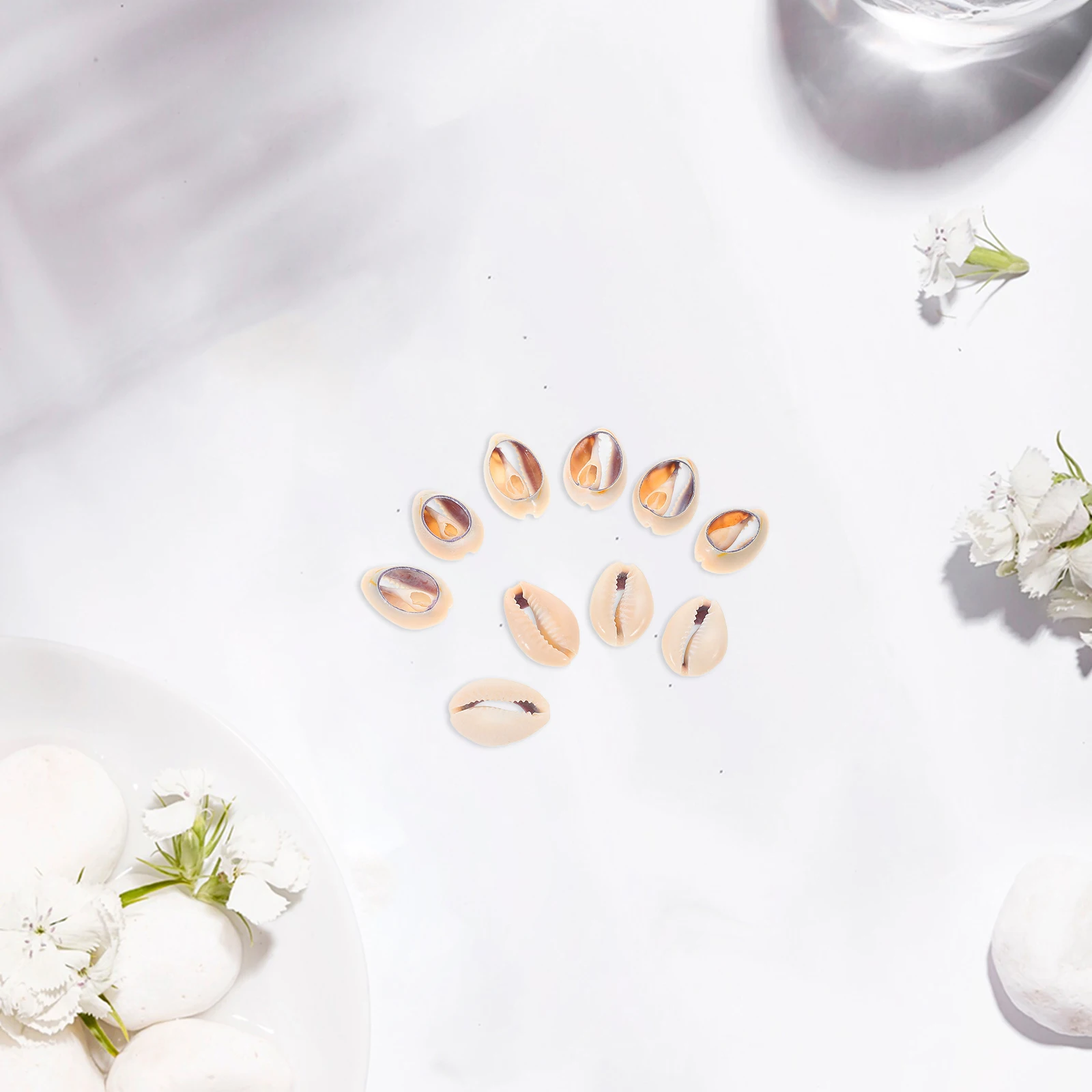 10 Pcs Shell Beads for Jewelry Making Tiny Natural Seashell Necklace Beige Shells
10 Pcs Shell Beads for Jewelry Making Tiny Natural Seashell Necklace Beige Shells