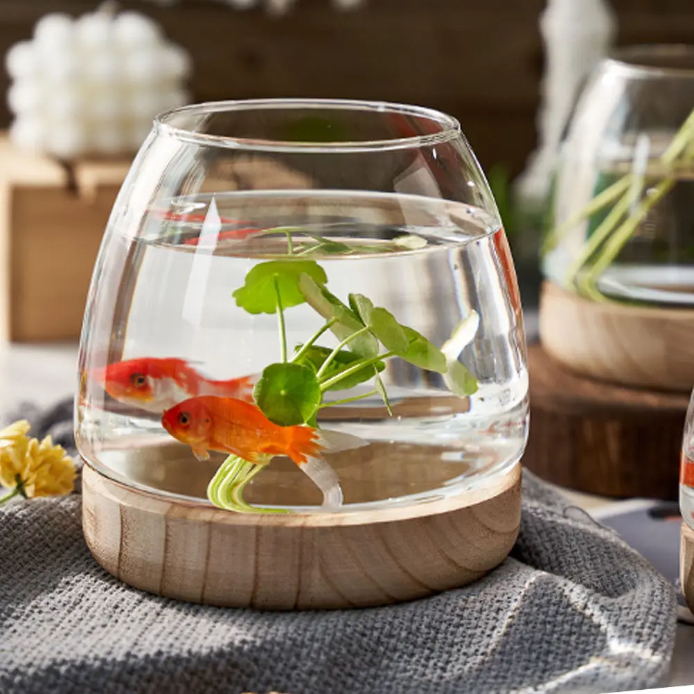 1Set Premium Glass Hydroponic Plant Terrarium with Natural Wood Base Desktop Aquarium Fish Bowl Flowerpot Water Garden Container
1Set Premium Glass Hydroponic Plant Terrarium with Natural Wood Base Desktop Aquarium Fish Bowl Flowerpot Water Garden Container