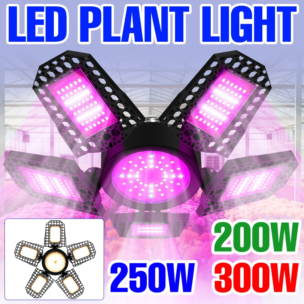 300W LED Full Spectrum Grow Light Bulb E27/E26 Indoor Plant Lamp AC100-277V Greenhouse Vegs Hydroponics Cultivation Lighting
300W LED Full Spectrum Grow Light Bulb E27/E26 Indoor Plant Lamp AC100-277V Greenhouse Vegs Hydroponics Cultivation Lighting