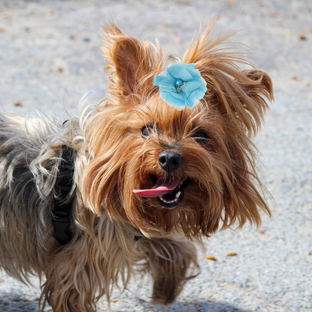 12 Pcs Pet Hair Clip Dog Bow Grooming Headwear Puppy Hair Pins Lace Clip Small Headdress Cat Supplies Durable Lightweight
12 Pcs Pet Hair Clip Dog Bow Grooming Headwear Puppy Hair Pins Lace Clip Small Headdress Cat Supplies Durable Lightweight