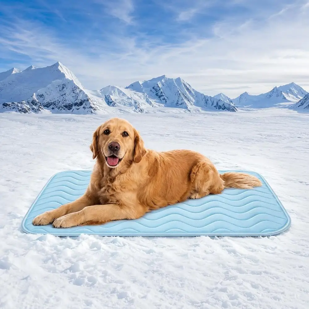 Portable Breathable Cooling Mat for Large Dogs and Cats, 40x28 Washable Pet Pad for Crate, Kennel, Travel, and Outdoor Use in Su
Portable Breathable Cooling Mat for Large Dogs and Cats, 40x28 Washable Pet Pad for Crate, Kennel, Travel, and Outdoor Use in Su