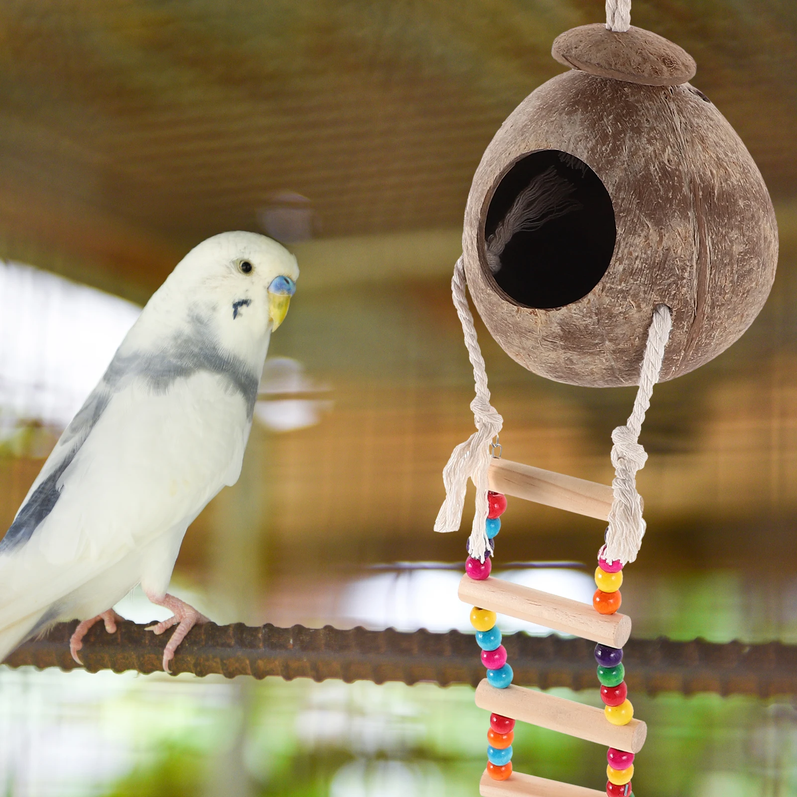 Natural Coconut Shell Bird Nests for Parrots Budgies Hamsters Pet Perch Decoration Breeding Cage Wooden House Cozy Nest
Natural Coconut Shell Bird Nests for Parrots Budgies Hamsters Pet Perch Decoration Breeding Cage Wooden House Cozy Nest
