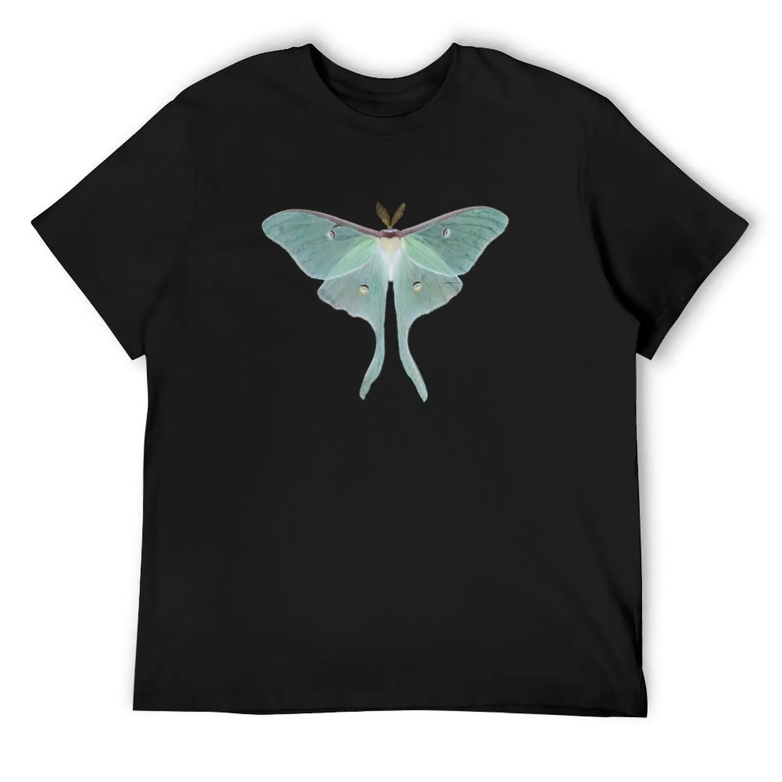 Beautiful Green Luna Moth T-Shirt cheap stuff luxury t-shirt quick-drying designer shirts mens white t shirts
Beautiful Green Luna Moth T-Shirt cheap stuff luxury t-shirt quick-drying designer shirts mens white t shirts