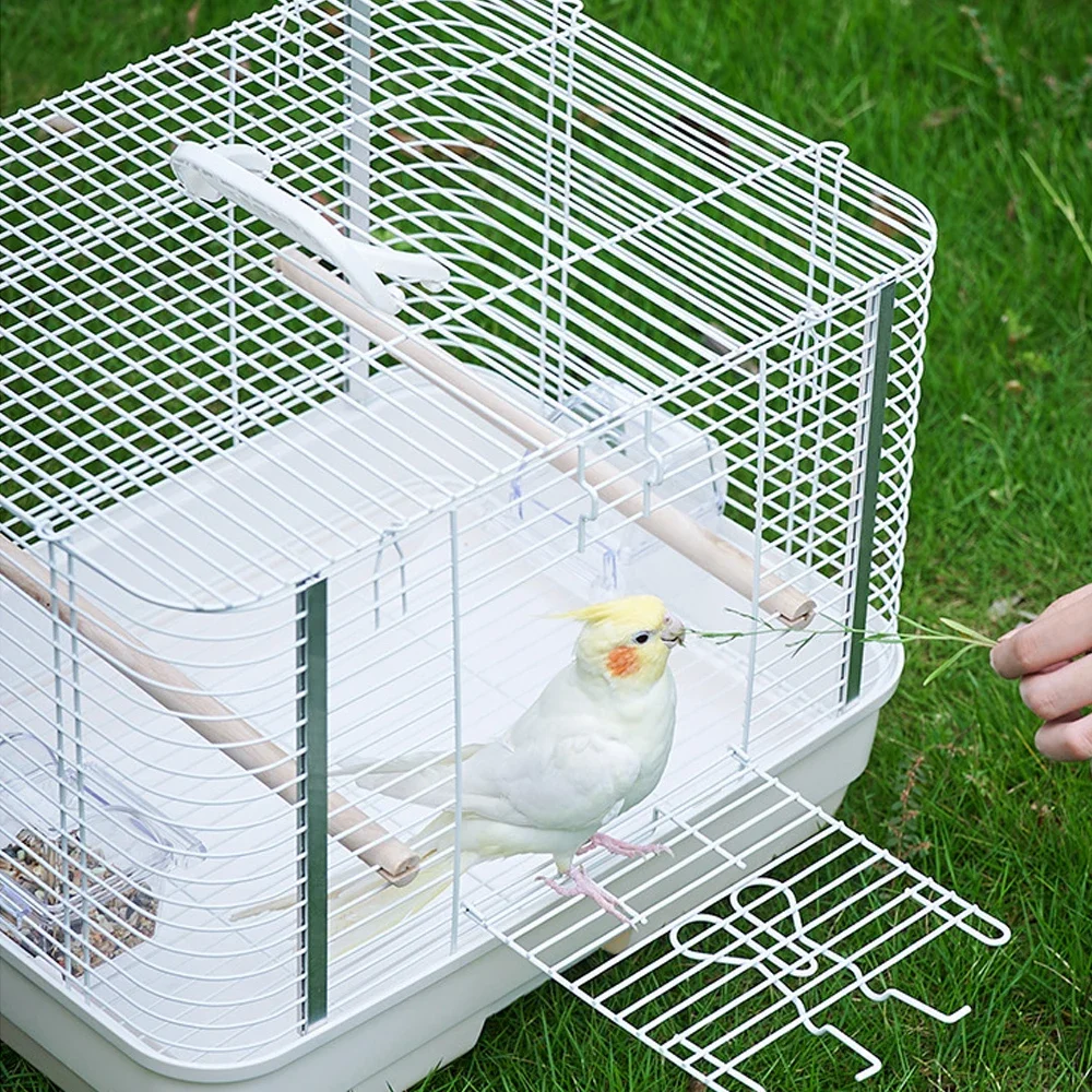 Collapsible Travel Veterinary Metal Carrier Durable Portable Collapsable Parrot Bird Carrier Feeder Bowls Wooden Perch Cage
Collapsible Travel Veterinary Metal Carrier Durable Portable Collapsable Parrot Bird Carrier Feeder Bowls Wooden Perch Cage