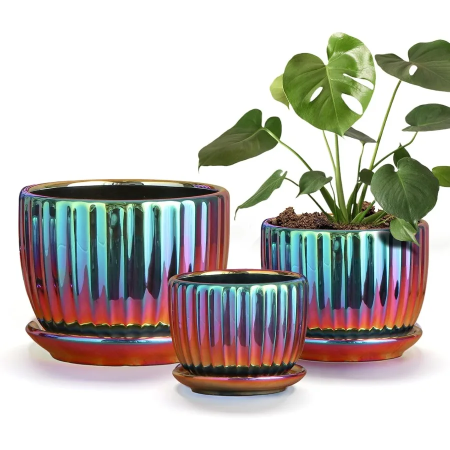 Flower Pots Purple Ceramic Plant Pots Set of 3 Small Glazed Succulent Pots with Drainage Hole Cactus Planter with Saucer Outdoo
Flower Pots Purple Ceramic Plant Pots Set of 3 Small Glazed Succulent Pots with Drainage Hole Cactus Planter with Saucer Outdoo
