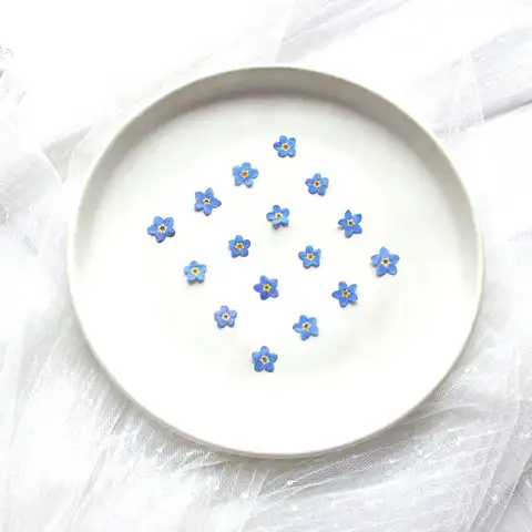 Resin Ornaments Jewelry Card Natural Forget-Me-Not Don't Forget Me Dried Flowers Pressed Flower