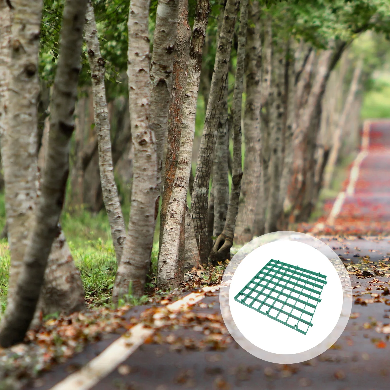 Решетка Пластиковая решетка для деревьев Пластиковая проницаемая защита для дорог Квадраты Различные диаметри Практическое использование
Решетка Пластиковая решетка для деревьев Пластиковая проницаемая защита для дорог Квадраты Различные диаметри Практическое использование